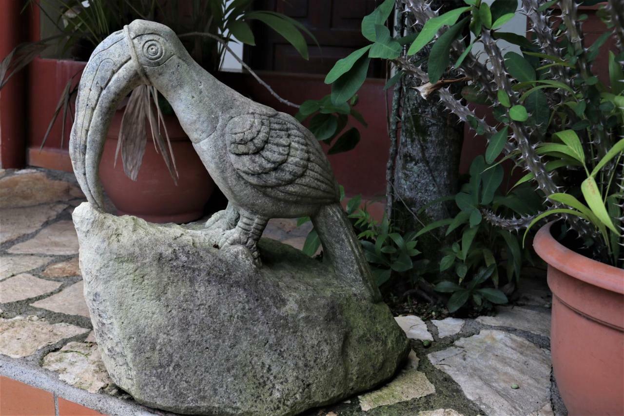 Hotel Buena Vista Copán エクステリア 写真